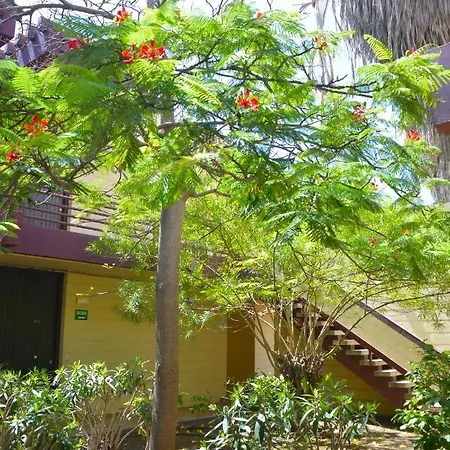 Calo Apartment